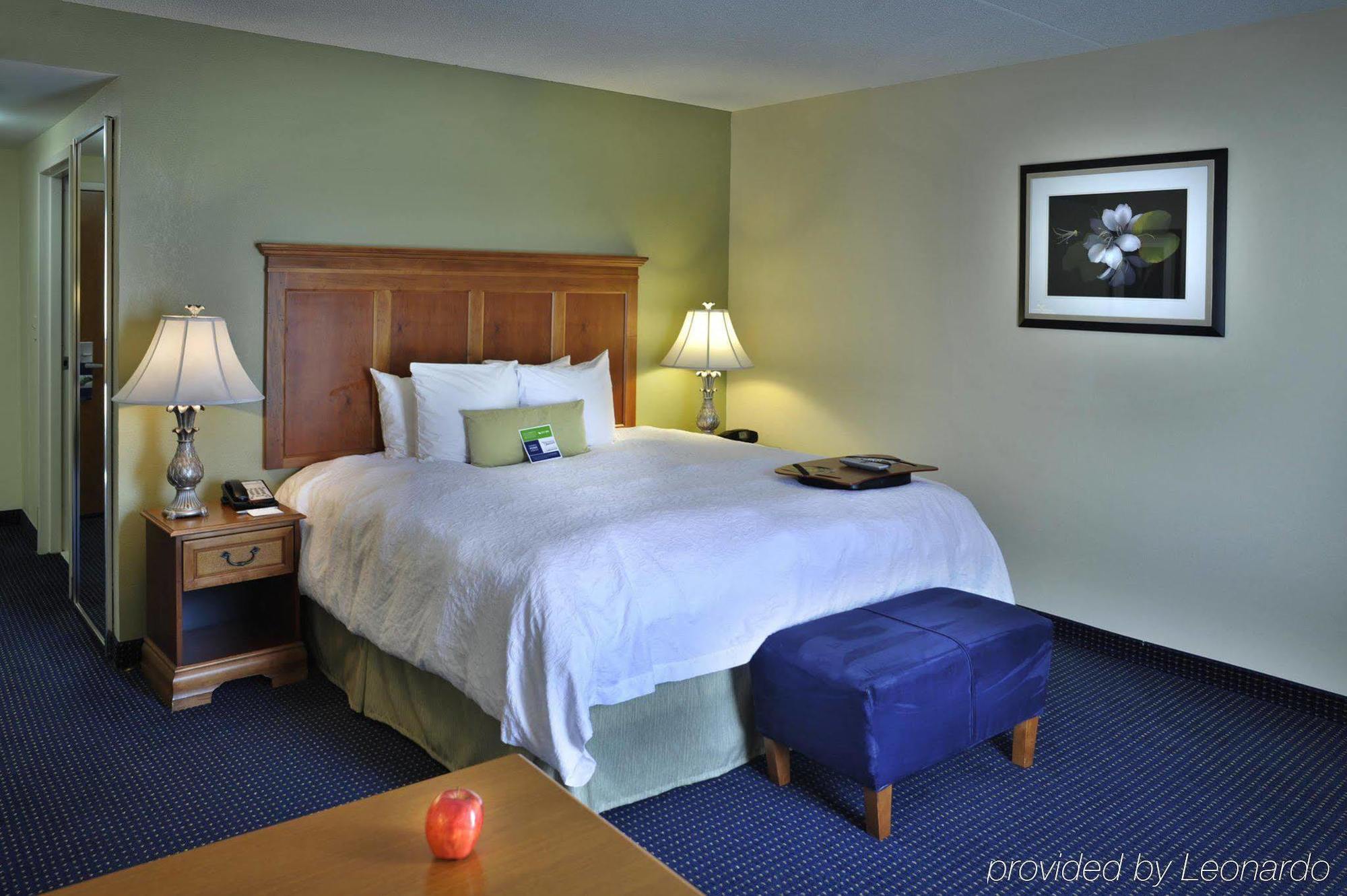 Hampton Inn & Suites Atlanta-Six Flags Lithia Springs Oda fotoğraf